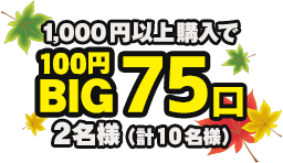 エントリー＆1,000円以上購入で100円 BIG75口を合計2名様(計10名様)