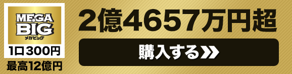 MEGABIG1等配当金総額 2億4657万円超 購入はこちら