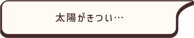 太陽がきつい…