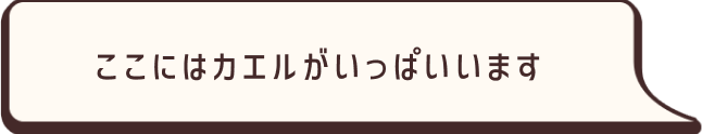 ここにはカエルがいっぱいいます