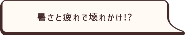 暑さと疲れで壊れかけ⁉